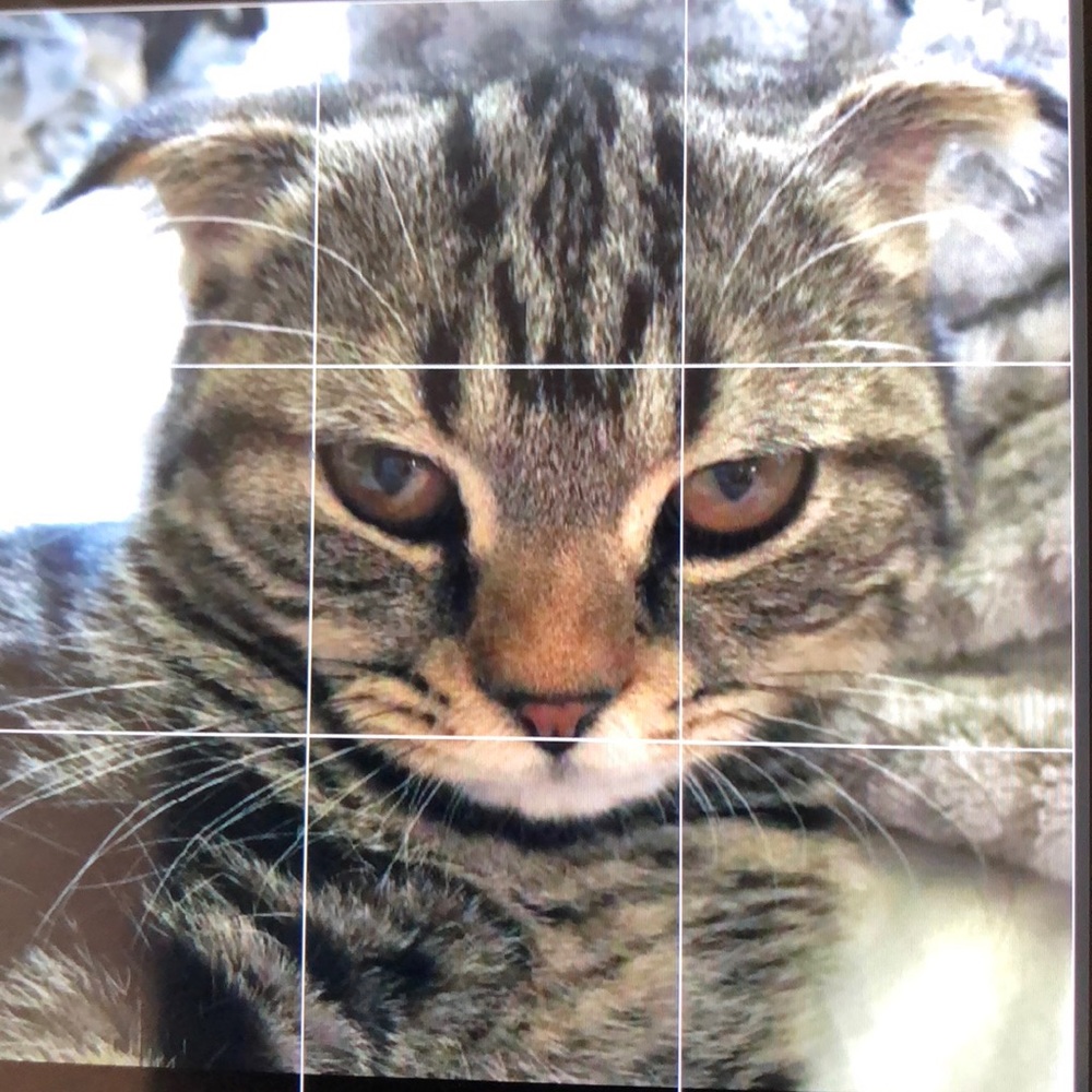 Meet your Posher, Jon